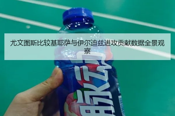 尤文图斯比较基耶萨与伊尔迪兹进攻贡献数据全景观察